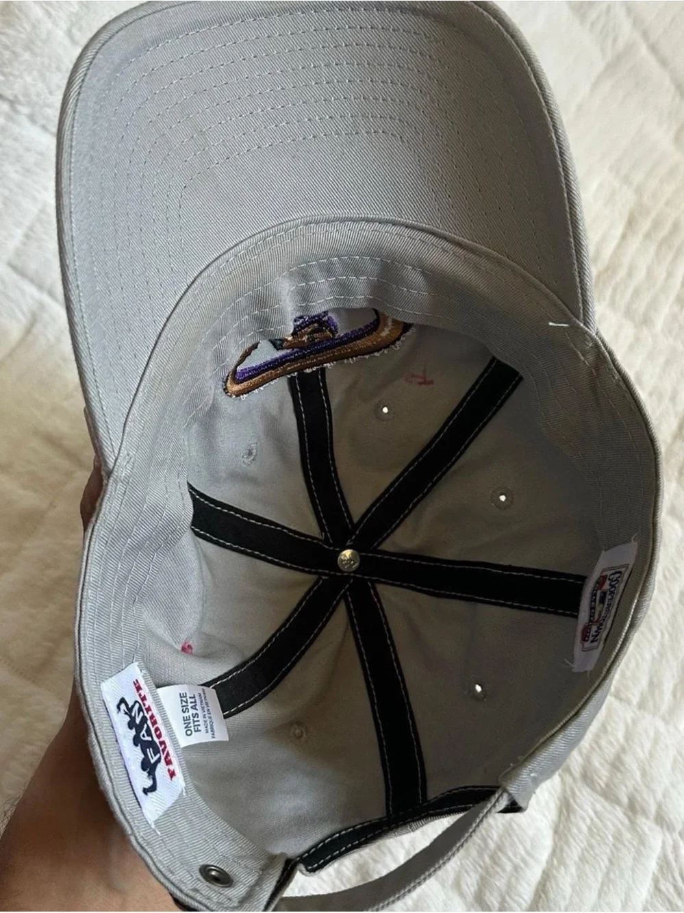 Tan Arizona Diamondbacks Baseball Cap with Embroidered Snake Logo